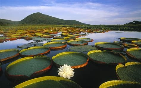 Ecoturismo En Colombia Mejores Lugares Para Experimentarlo