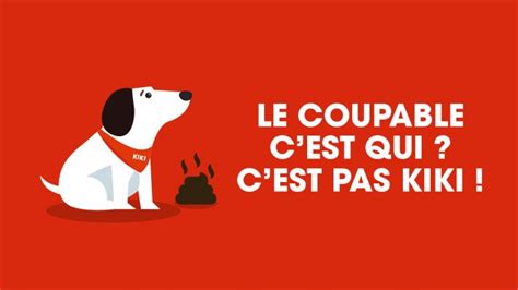 Affiche Non Aux Crottes De Chien Chien Nouvelles