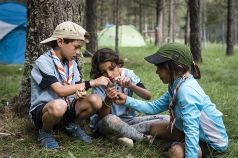 Cu Les Son Los Diferentes Tipos De Campamentos Campingalmocita