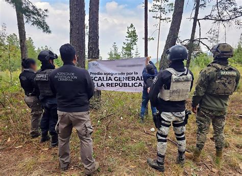 Asegura Fgr 3 Mil 500 Metros De Madera Tras Cateos En Tlaxco