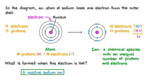 Sodium Shell Model