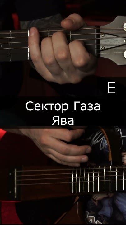 #shorts #секторгаза #ява #аккорды #нагитаре - YouTube