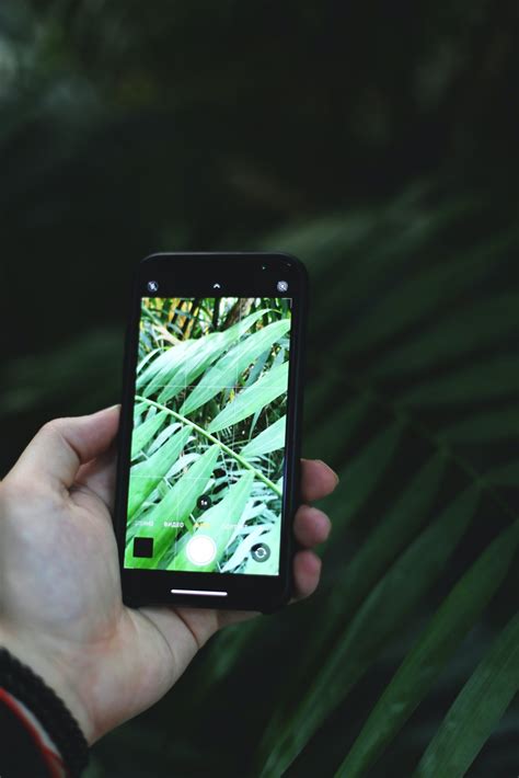 Can I Use My Cell Phone in Belize? - Hopkins Belize Travel