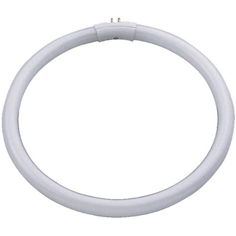 Daylight Company Daylight Replacement Bulb 28 Watt Circular