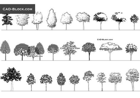 Trees Side View Dwg Autocad Blocks 2d Vegetation Models For Free | Images and Photos finder