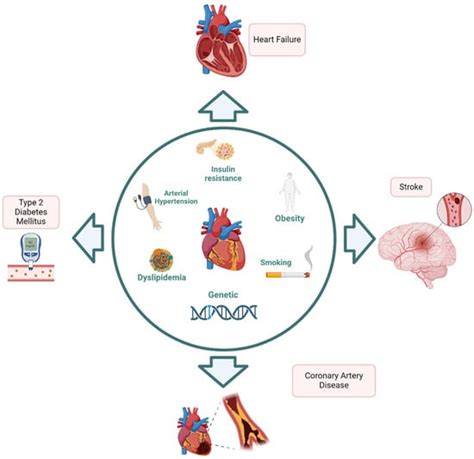 Jcm Free Full Text Novel Techniques Biomarkers And Molecular