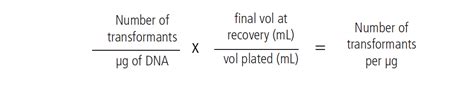 What Is Transformation Efficiency And Why Is It Important The