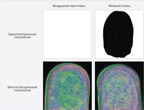 Датчики-сканеры отпечатков пальцев в устройствах биоидентификации ...