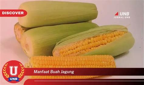 Temukan Manfaat Buah Jagung Yang Jarang Diketahui