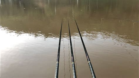 Pescaria de tilápias na diária 08 Dia sofrido as tilápias sumiram