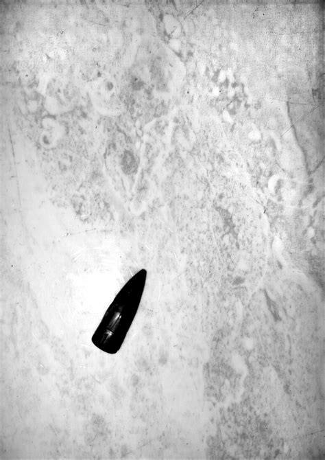 I found this today ! | Sally Ahmed 