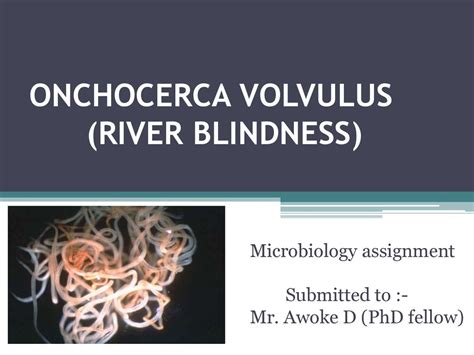 Onchocerca Volvulus River Blindness Ppt Download