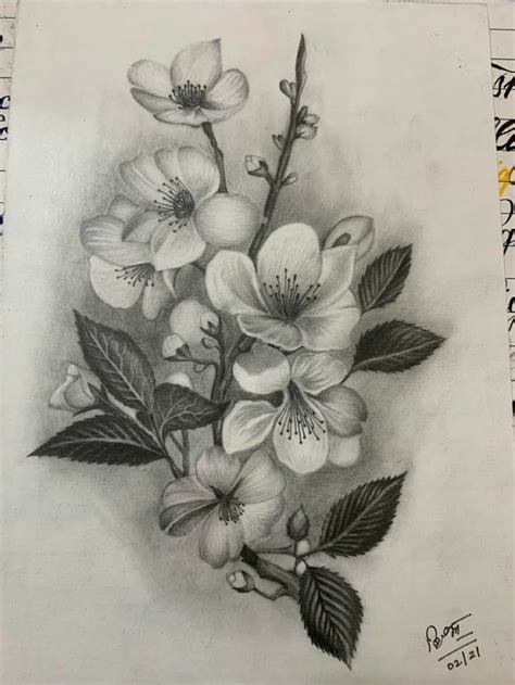 A Pencil Drawing Of Some Flowers On Paper