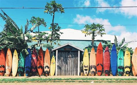 12 BEST Hostels in Hawaii, USA 2025 (for Solo Traveler + Surf)