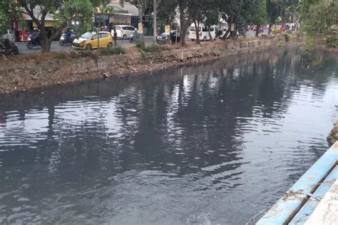 Sempat Menghitam Akibat Alami Pencemaran Begini Kondisi Kali Bekasi