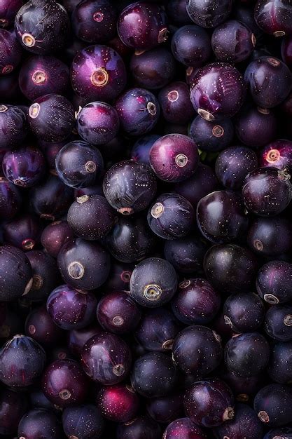 Dark purple berries texture background currant pattern elderberry ...