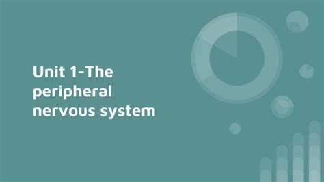 The Peripheral Nervous System Ppt