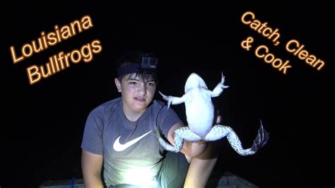 Louisiana Bullfrogs Catch Clean Cook Froggin The River Youtube