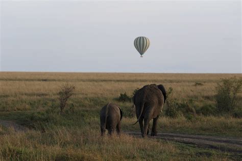 Top Wildlife Sanctuaries In India Xplortheglobe