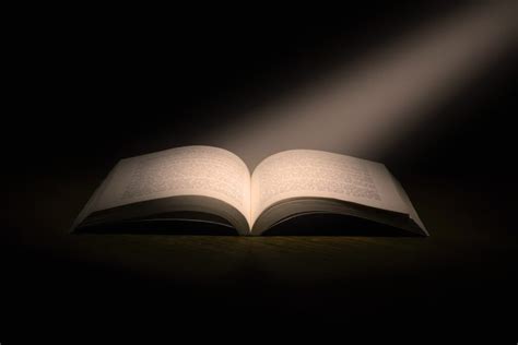 The 3 Best Boxing Books Of All Time - Fighter Mind