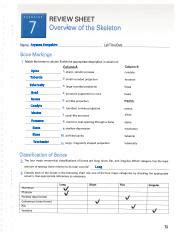 Kami Export Exercise Overview Of The Skeleton Student Review Pdf