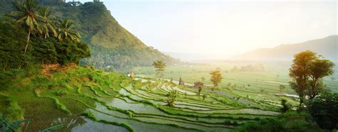 Cheap Flights from Adelaide to Bali | Webjet AU