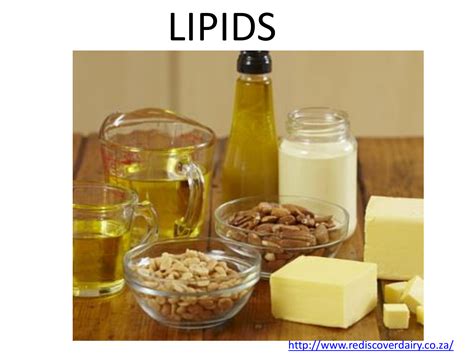 Lipids Concept Map