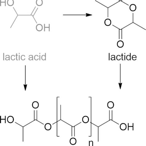 Amidation Reaction Between Chitosan And Lactic Acid Reduces Croslinking Download Scientific