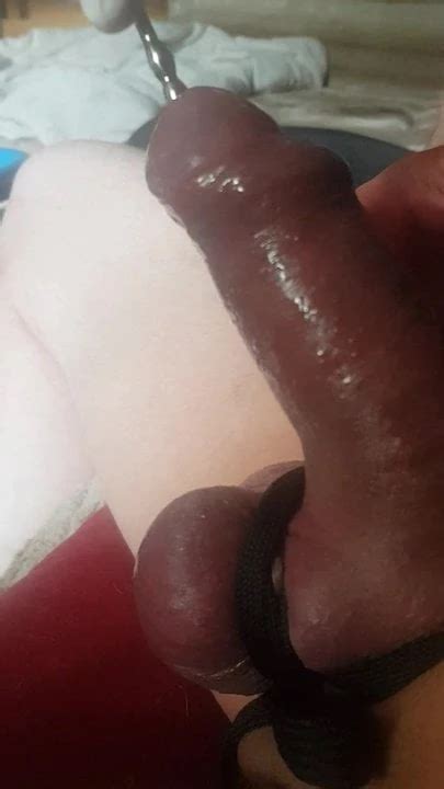 Dilator German Gay Amateur Amateur Porn XHamster