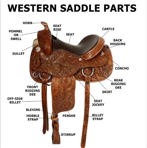 English Saddle Vs Western