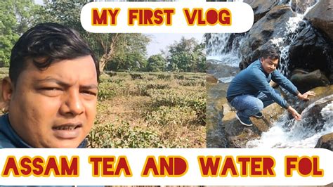 Assam Tea And Assam Waterfall Assam Ki Chai Aur Assam Ki Jharna ☕☕☕ Youtube