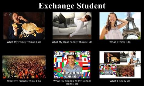 Pin By Alexander Flanagan On Exchange Student Memes Exchange Student
