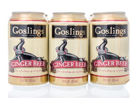 12 Best Ginger Beer Brands to Drink