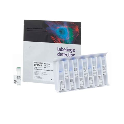 18181 Kit De Proliferacion De Celulas Cfse Celltrace Pcitometria De