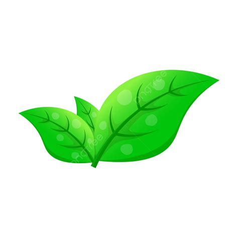 Tea Leaves Vector Tea Top Tea Leaves Tea Leaf Png And Vector With