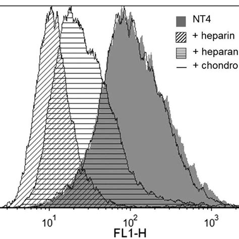 Flow Cytometry Of Nt4 Binding Grey To Panc 1 Cancer Cells And