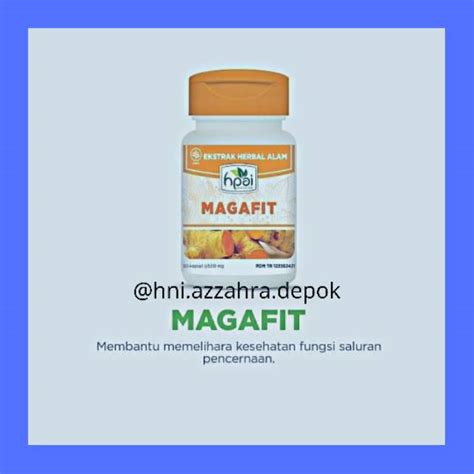 Jual Herbal HNI HPAI Magafit Obat Maag Akut Obat Sakit Lambung Obat