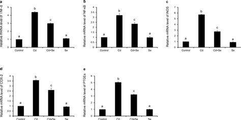 Effects Of Cd And Se On Gene Expression Of Tnf α A Nf κb B Inos