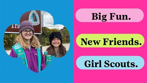 New Glarus Get To Know Girl Scouts With Trolls New Glarus Elementary