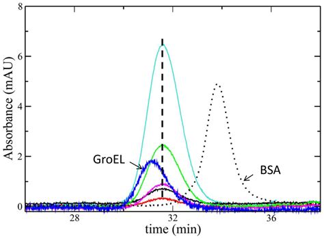 Size Exclusion Chromatography Results Size Exclusion Chromatography