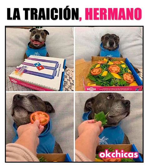 La Traición Hermano Memes