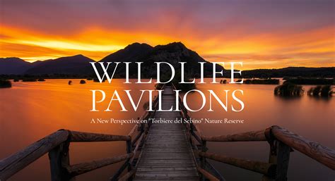 Wildlife Pavilions Competition Archdaily