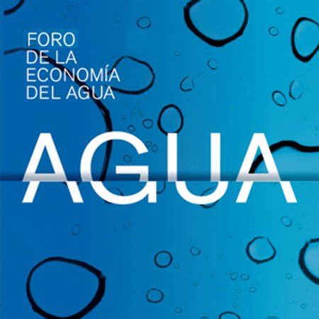 Foro De La Econom A Del Agua Iagua