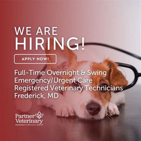 Stacy Walls On Linkedin Vetmed Hiring