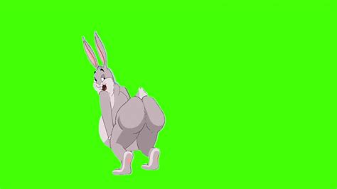 Big Chungus Twerk Green Screen Big Chungus Twerking Meme Youtube