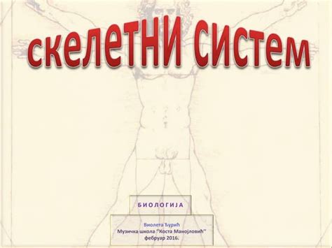 Скелетни систем | PPT | Free Download