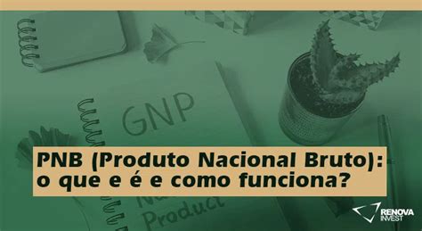 PNB Produto Nacional Bruto o que é e como funciona Renova Invest