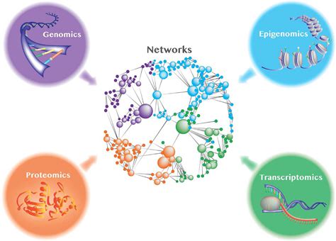 Multi Omic Molecular Profiling And Network Biology For Precision