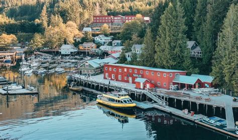 Telegraph Cove Whale Watching Experience Prince Of Whales