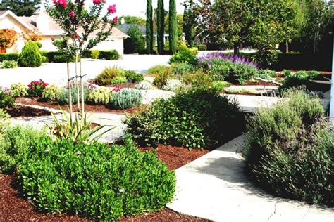 Drought Resistant Gardening Ideas — Randolph Indoor And Outdoor Design